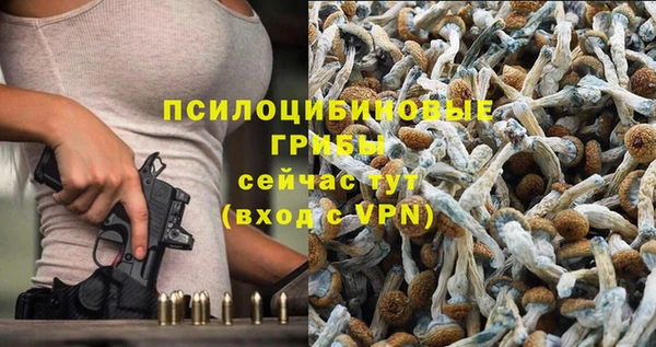 бошки Алексин