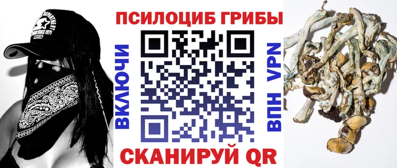 OMG ссылка  Таганрог  Псилоцибиновые грибы GOLDEN TEACHER 